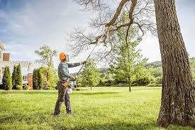 Best Arborist Consultation Services  in Hudson Oaks, TX